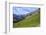 Hikers at Kleine Scheidegg, Grindelwald, Bernese Oberland, Switzerland, Europe-Hans-Peter Merten-Framed Photographic Print