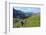 Hikers at Kleine Scheidegg, Grindelwald, Bernese Oberland, Switzerland, Europe-Hans-Peter Merten-Framed Photographic Print