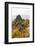 Hikers at the Vogelbergsteig Near DŸrnstein, Wachau, Lower Austria, Austria, Europe-Gerhard Wild-Framed Photographic Print