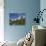 Hikers Below the Matterhorn, Zermatt, Valais, Swiss Alps, Switzerland, Europe-Hans Peter Merten-Photographic Print displayed on a wall