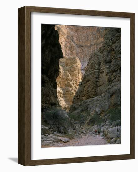 Hikers & Dog in Pigeon Canyon, Grand Canyon-Parashant National Monument, Arizona, USA-Scott T. Smith-Framed Photographic Print