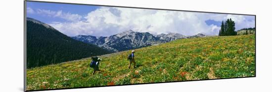 Hikers in a Meadow, South Fork Granite Canyon, Grand Teton National Park, Wyoming, Usa-null-Mounted Photographic Print