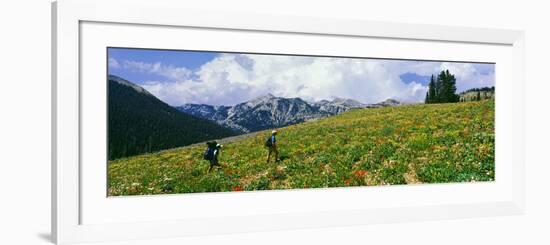 Hikers in a Meadow, South Fork Granite Canyon, Grand Teton National Park, Wyoming, Usa-null-Framed Photographic Print