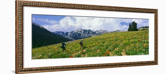 Hikers in a Meadow, South Fork Granite Canyon, Grand Teton National Park, Wyoming, Usa-null-Framed Photographic Print
