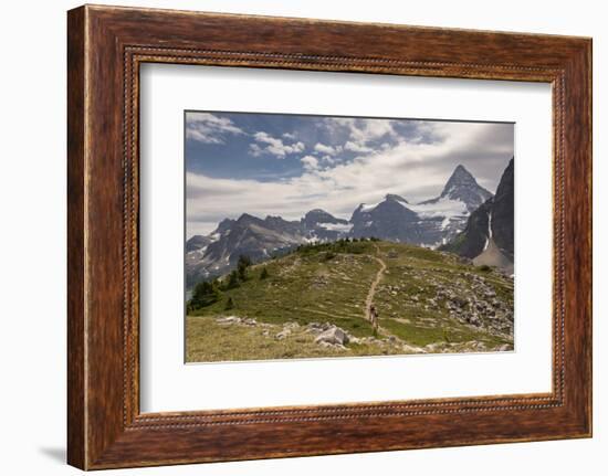 Hikers in Assiniboine Park, Canada (MR)-Howie Garber-Framed Photographic Print