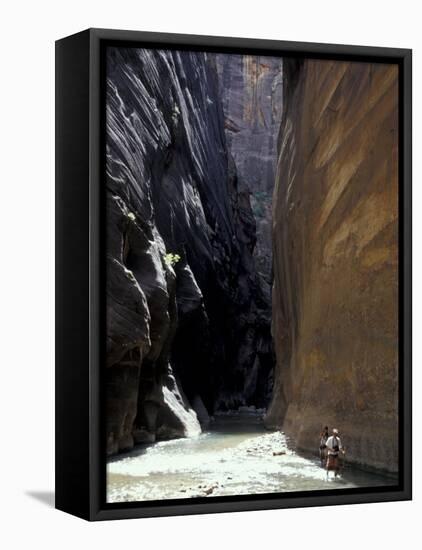 Hikers in Zion Narrows, Zion National Park, UT, USA-Lin Alder-Framed Premier Image Canvas