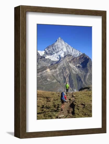 Hikers Proceed Towards the High Peak of Dent Herens in a Clear Summer Day, Switzerland-Roberto Moiola-Framed Photographic Print