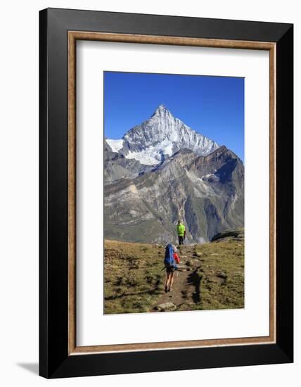 Hikers Proceed Towards the High Peak of Dent Herens in a Clear Summer Day, Switzerland-Roberto Moiola-Framed Photographic Print