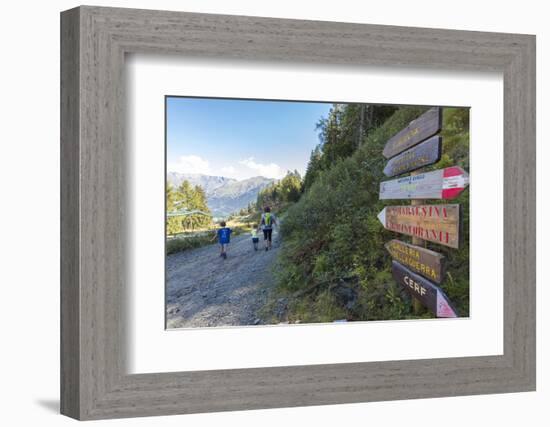 Hikers walk on the alpine path surrounded by woods, Ponte Di Legno, Camonica Valley, province of Br-Roberto Moiola-Framed Photographic Print