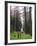 Hikers Walking in Brecon Beacons National Park, South Wales, Uninted Kingdom, Europe-Christian Kober-Framed Photographic Print