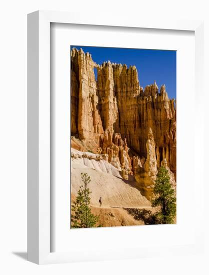 Hiking in Bryce Canyon National Park Utah, United States of America, North America-Michael DeFreitas-Framed Photographic Print