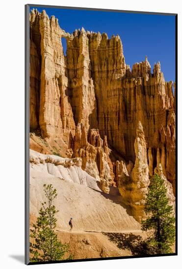 Hiking in Bryce Canyon National Park Utah, United States of America, North America-Michael DeFreitas-Mounted Photographic Print