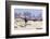 Hiking in Canyonlands National Park-DLILLC-Framed Photographic Print