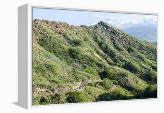 Hiking in Diamond Head State Monument (Leahi Crater)-Michael DeFreitas-Framed Premier Image Canvas