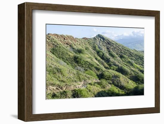 Hiking in Diamond Head State Monument (Leahi Crater)-Michael DeFreitas-Framed Photographic Print