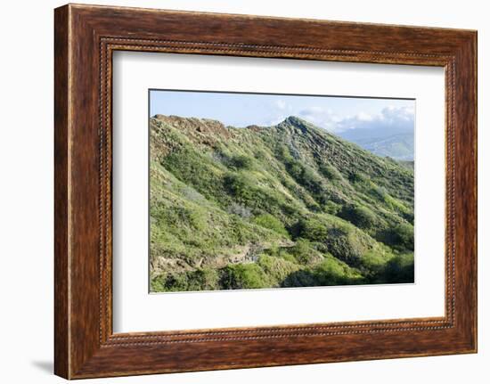 Hiking in Diamond Head State Monument (Leahi Crater)-Michael DeFreitas-Framed Photographic Print
