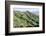 Hiking in Diamond Head State Monument (Leahi Crater)-Michael DeFreitas-Framed Photographic Print