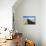 Hiking In Great Sand Dunes National Park, CO-Justin Bailie-Photographic Print displayed on a wall