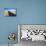 Hiking In Great Sand Dunes National Park, CO-Justin Bailie-Mounted Photographic Print displayed on a wall