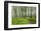 Hiking in the Aspen Trees Forest on the Trail to the American Lake.-Stefano Amantini-Framed Photographic Print