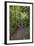 Hiking Manoa Falls Trail, Honolulu, Oahu, Hawaii, United States of America, Pacific-Michael DeFreitas-Framed Photographic Print