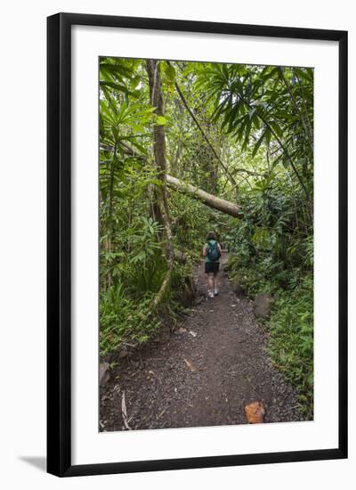 Hiking Manoa Falls Trail, Honolulu, Oahu, Hawaii, United States of America, Pacific-Michael DeFreitas-Framed Photographic Print