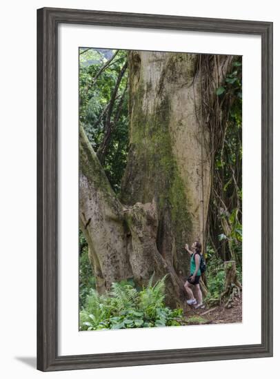 Hiking Manoa Falls Trail, Honolulu, Oahu, Hawaii, United States of America, Pacific-Michael DeFreitas-Framed Photographic Print