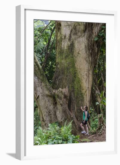 Hiking Manoa Falls Trail, Honolulu, Oahu, Hawaii, United States of America, Pacific-Michael DeFreitas-Framed Photographic Print