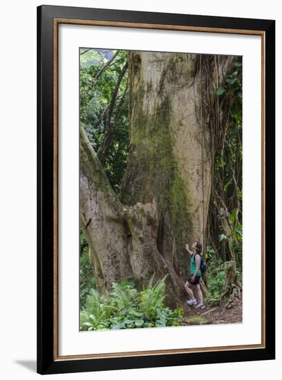 Hiking Manoa Falls Trail, Honolulu, Oahu, Hawaii, United States of America, Pacific-Michael DeFreitas-Framed Photographic Print