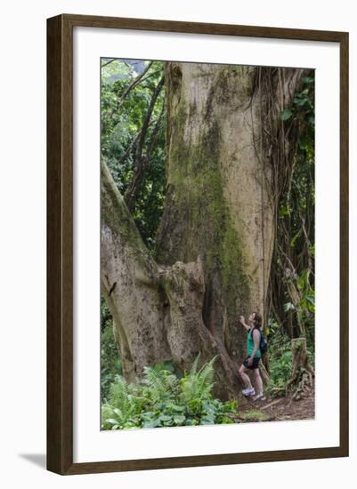 Hiking Manoa Falls Trail, Honolulu, Oahu, Hawaii, United States of America, Pacific-Michael DeFreitas-Framed Photographic Print