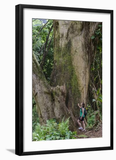 Hiking Manoa Falls Trail, Honolulu, Oahu, Hawaii, United States of America, Pacific-Michael DeFreitas-Framed Photographic Print