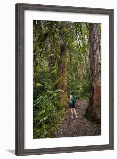 Hiking Manoa Falls Trail, Honolulu, Oahu, Hawaii, United States of America, Pacific-Michael DeFreitas-Framed Photographic Print