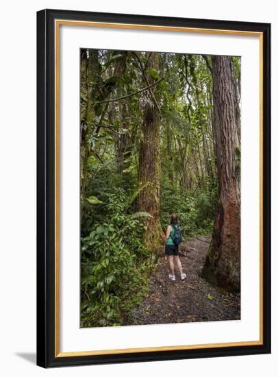 Hiking Manoa Falls Trail, Honolulu, Oahu, Hawaii, United States of America, Pacific-Michael DeFreitas-Framed Photographic Print