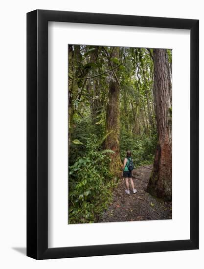 Hiking Manoa Falls Trail, Honolulu, Oahu, Hawaii, United States of America, Pacific-Michael DeFreitas-Framed Photographic Print