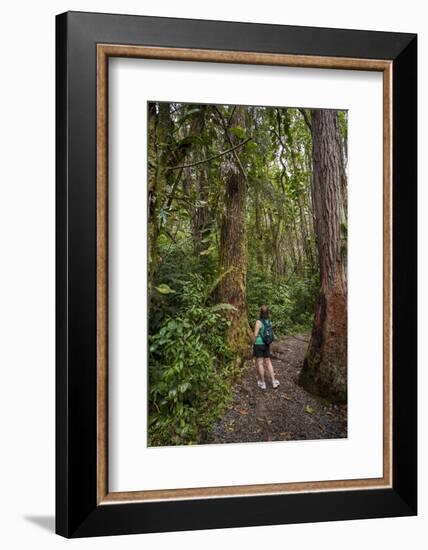 Hiking Manoa Falls Trail, Honolulu, Oahu, Hawaii, United States of America, Pacific-Michael DeFreitas-Framed Photographic Print