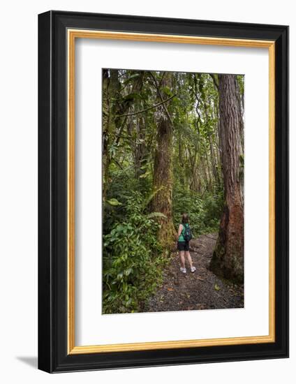 Hiking Manoa Falls Trail, Honolulu, Oahu, Hawaii, United States of America, Pacific-Michael DeFreitas-Framed Photographic Print