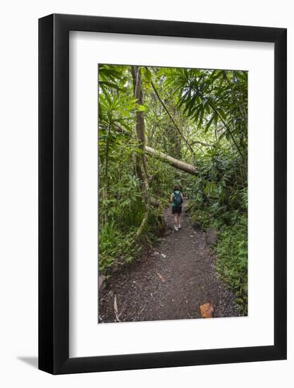 Hiking Manoa Falls Trail, Honolulu, Oahu, Hawaii, United States of America, Pacific-Michael DeFreitas-Framed Photographic Print