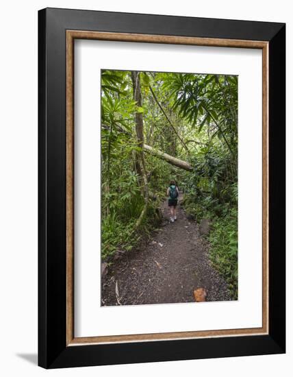 Hiking Manoa Falls Trail, Honolulu, Oahu, Hawaii, United States of America, Pacific-Michael DeFreitas-Framed Photographic Print