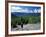 Hiking on Mt. Crawford, New Hampshire, USA-Jerry & Marcy Monkman-Framed Photographic Print