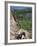 Hiking on the Beehive Trail, Maine, USA-Jerry & Marcy Monkman-Framed Photographic Print