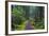 Hiking Path Winds Through Mossy Rainforest in Glacier National Park, Montana, USA-Chuck Haney-Framed Photographic Print