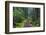 Hiking Path Winds Through Mossy Rainforest in Glacier National Park, Montana, USA-Chuck Haney-Framed Photographic Print