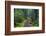 Hiking Path Winds Through Mossy Rainforest in Glacier National Park, Montana, USA-Chuck Haney-Framed Photographic Print