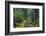 Hiking Path Winds Through Mossy Rainforest in Glacier National Park, Montana, USA-Chuck Haney-Framed Photographic Print