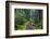 Hiking Path Winds Through Mossy Rainforest in Glacier National Park, Montana, USA-Chuck Haney-Framed Photographic Print