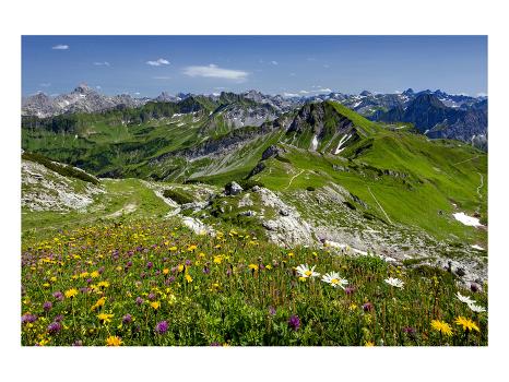 Summit trail Nebelhorn • Mountain Hike »