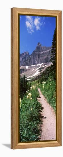 Hiking Trail at Us Glacier National Park, Montana, USA-null-Framed Stretched Canvas