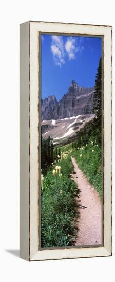 Hiking Trail at Us Glacier National Park, Montana, USA-null-Framed Stretched Canvas