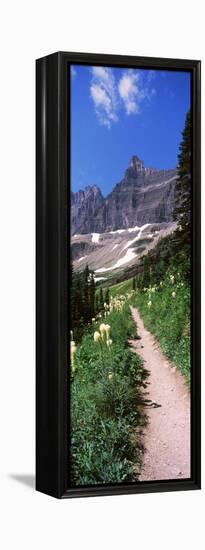 Hiking Trail at Us Glacier National Park, Montana, USA-null-Framed Stretched Canvas