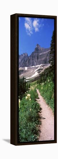 Hiking Trail at Us Glacier National Park, Montana, USA-null-Framed Stretched Canvas